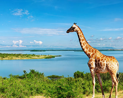 Lake Victoria - Uganda www.kuamkasafaris.com